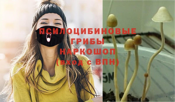 синтетический гашиш Бородино