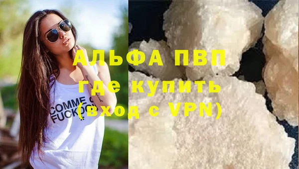 индика Богородск